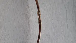 Gouden spang met scharnier kopen? Bied vanaf 1975!