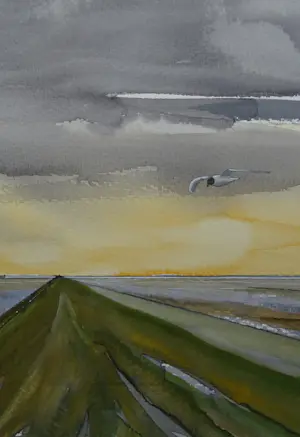 Franklin Meijer - Friese Waddenkust kopen? Bied vanaf 45!