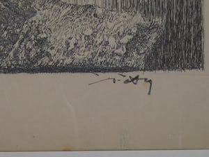 Wim Motz - Schedel op boek kopen? Bied vanaf 35!