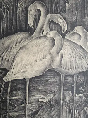 Willem van den Berg - Flamingo's kopen? Bied vanaf 59!