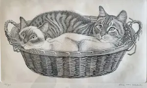 Ella van Schaik - Aardappelmand kopen? Bied vanaf 40!