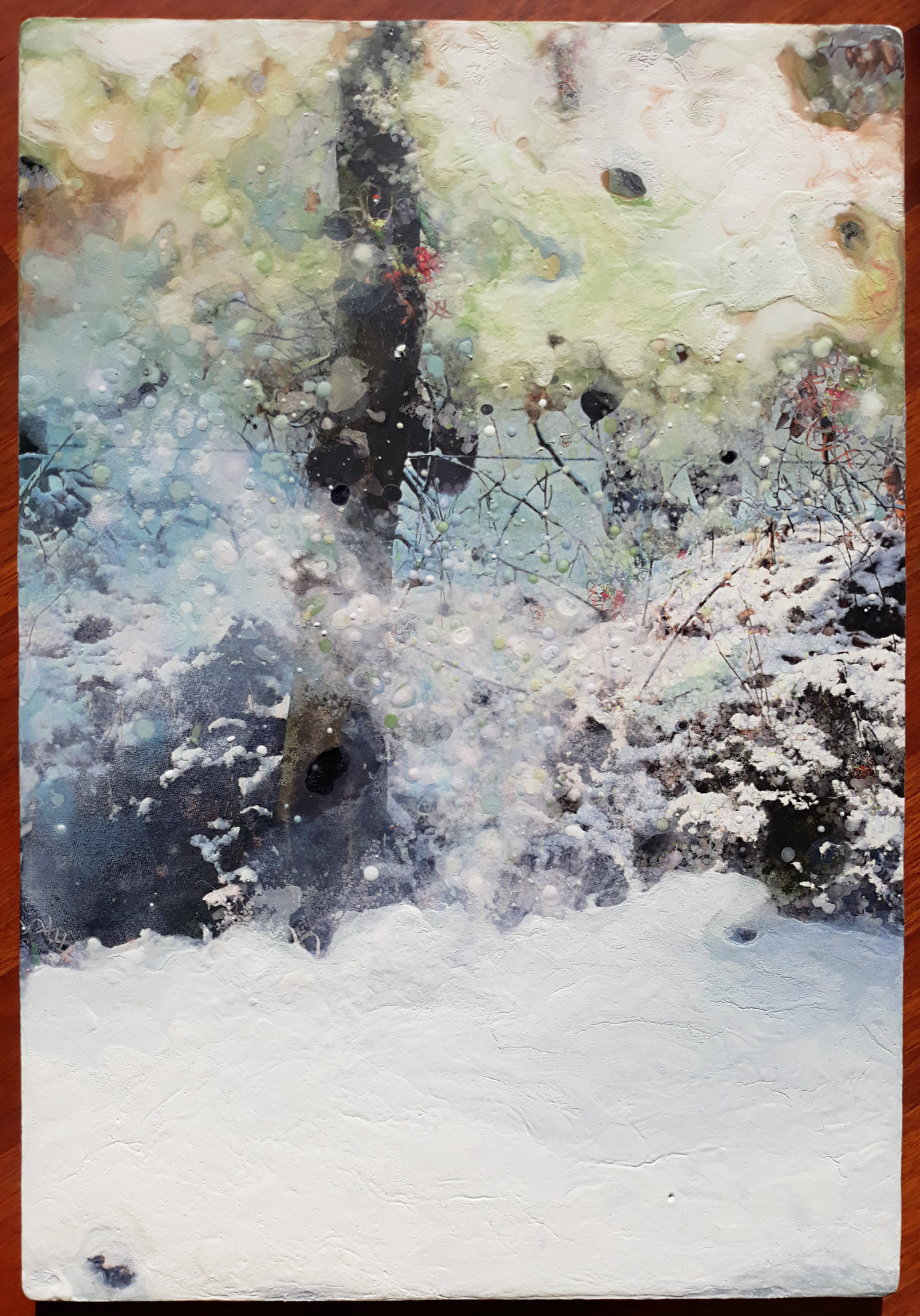 Robert Wevers - Specht, acrylverf en inktjet op aluminium kopen? Bied vanaf 375!