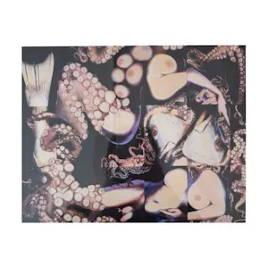 Lieve Prins - Onbekend kopen? Bied vanaf 50!