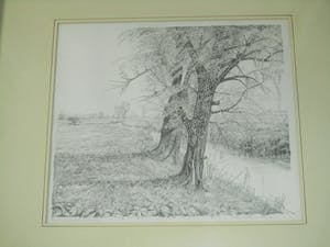 Cees Schellenberg - Tekening - Mariapolder Dordrecht kopen? Bied vanaf 60!