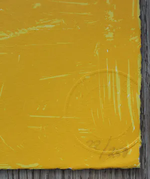 Herman Brood - zeefdruk: Vliegtuig (Laatste exemplaar!) kopen? Bied vanaf 399!