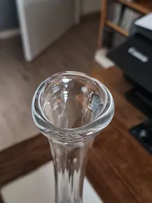 Val-Saint-Lambert - solifleur kopen? Bied vanaf 30!