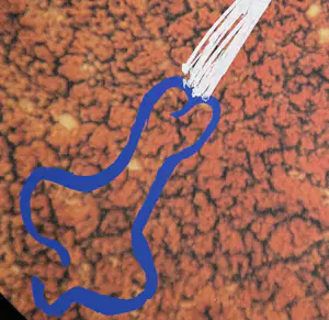 Marina Abramovic - handgesigneerde zeefdruk | 'Zonder titel' | 1991 kopen? Bied vanaf 250!