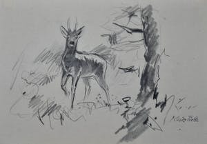 Floris Tiele - 7x diertekening van reeën kopen? Bied vanaf 39!