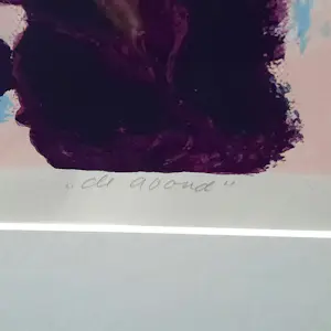 Henk van Vessem - zeefdruk - De Avond A.P. - ingelijst - 25608 kopen? Bied vanaf 90!