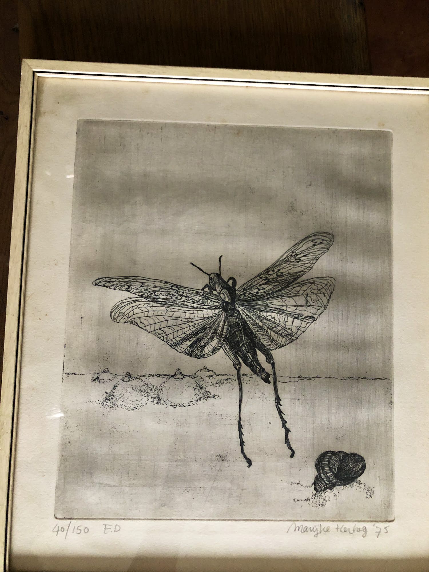 Marijke Hertog - Libelle kopen? Bied vanaf 40!