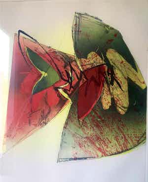 Hans Vredegoor - Ets, Ingelijst verkocht voor € 49!