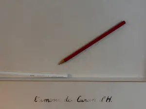 Thijs van Kimmenade - L’Amour de Caran d’H.. kopen? Bied vanaf 75!