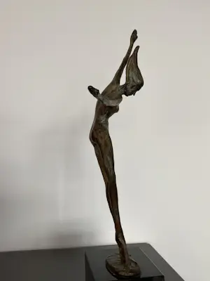 Corry Ammerlaan - Vreugdedans kopen? Bied vanaf 119!