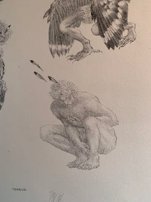 Peter Vos - Tereus kopen? Bied vanaf 15!