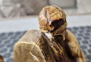 Eduard Antheunis - Boeksteunen zeldzame set kopen? Bied vanaf 50!