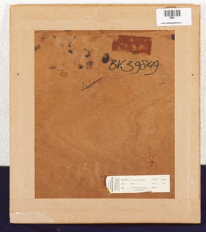 Johan van der Meulen - Hond 3 - 1976 - acryl- en lakverf op hout - BKR Ferwerderadeel kopen? Bied vanaf 20!