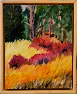 Sophie Bekkering - Roosendaalse zand kopen? Bied vanaf 97!