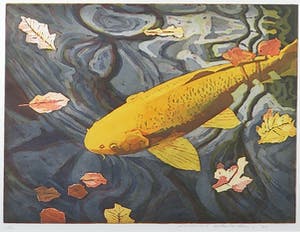 Marcel Schellekens - Aquatint ets, Gele Koi-karper - Ingelijst kopen? Bied vanaf 100!