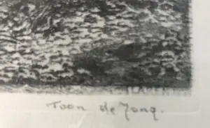 Toon de Jong - gezicht op den Bosch kopen? Bied vanaf 65!