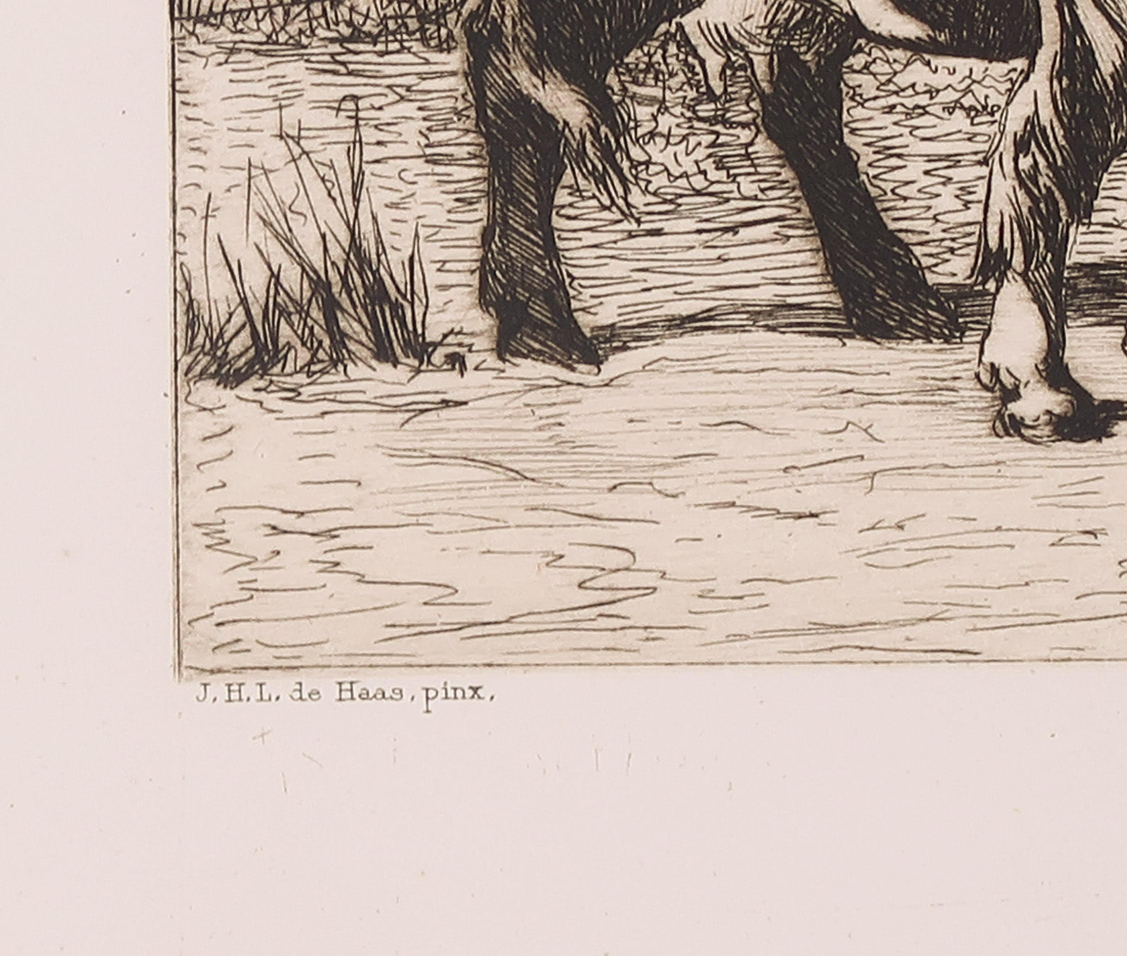 Philip Zilcken - Ets, Landschap met vee, naar schilderij van Jan de Haas kopen? Bied vanaf 1!