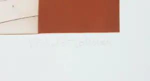 Ronald Tolman - Ets en aquatint, Het gevecht kopen? Bied vanaf 50!