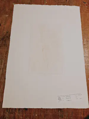 Gertie Mesker - Mooie handgekleurde reliëfdruk "Dendriet" potloodgesigneerd - bep. oplage (50) kopen? Bied vanaf 38!