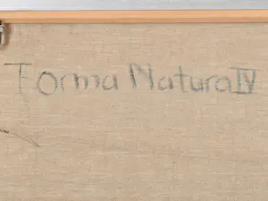 Christie van der Haak - Forma Natura IV kopen? Bied vanaf 200!