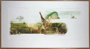 Kim Heesakkers - Foto, Sharing the continent - Ingelijst (Groot) kaufen? Bieten Sie von 50!