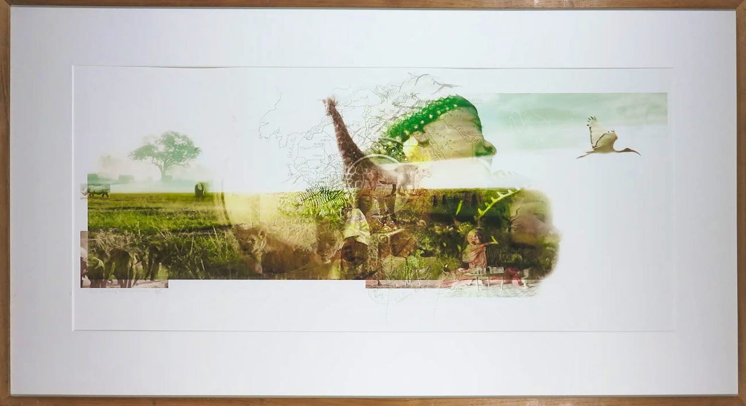 Kim Heesakkers - Foto, Sharing the continent - Ingelijst (Groot) verkocht voor € 50!