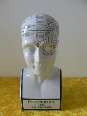 Curiosa - Phrenology head by L.N.Fowler - Met Kleur kopen? Bied vanaf 60!
