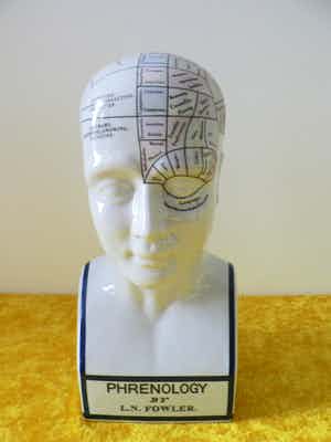 Phrenology head by L.N.Fowler - Met Kleur verkocht voor € 60!