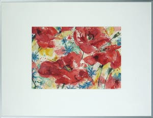 Pom Hoogstadt - Aquarel, Klaproos - Ingelijst kopen? Bied vanaf 50!