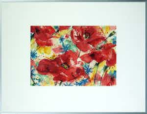 Pom Hoogstadt - Aquarel, Klaproos - Ingelijst verkocht voor € 50!