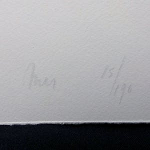 Han Mes - Han Mes - litho - Prent 190 kopen? Bied vanaf 40!