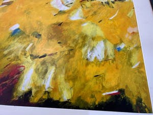 Charlotte Molenkamp - Bruisend Blond kopen? Bied vanaf 10!