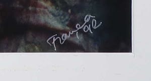 Franca Muller Jabusch - C-print, z.t. Omhelzing kopen? Bied vanaf 20!