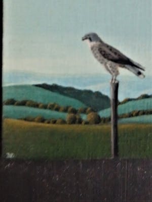 Leo van Dam - miniatuur Torenvalk kopen? Bied vanaf 45!