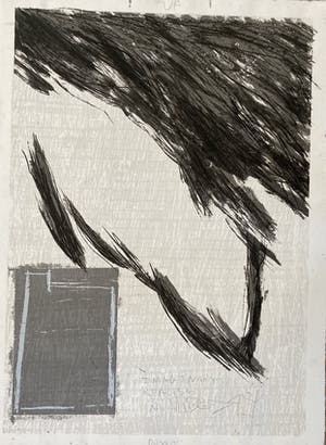 Manu Baeyens - Imaginary kopen? Bied vanaf 55!