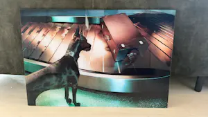 Miles Aldridge - Dog Gone 1# kopen? Bied vanaf 1250!