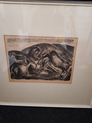 Kees Andrea - Weide met geiten kopen? Bied vanaf 5!