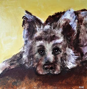 Anke Peddemors - Ik wacht kopen? Bied vanaf 25!