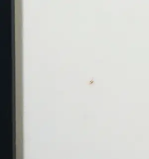 Ans Wortel - Gemengde techniek op papier, Zonder titel - Ingelijst kopen? Bied vanaf 200!