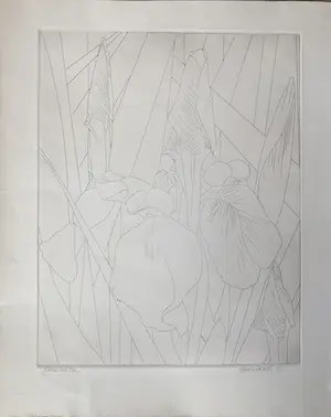 Hans van Liempt - Twee etsen in één koop kopen? Bied vanaf 39!