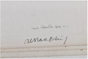 Renaat Veris - Grote graszode kopen? Bied vanaf 45!