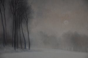 Daniel Desitter - Sneeuwlandschap Waasland kopen? Bied vanaf 300!