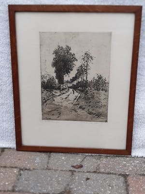 Martin van Waning - "Berkenlaantje" kopen? Bied vanaf 39!