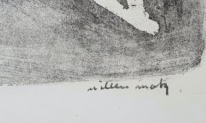 Wim Motz - Litho 'De dans' kopen? Bied vanaf 45!