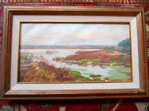 Johan Meijer - Zicht op de plas verkocht voor € 150!