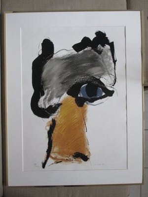 Henk van Vessem - Grote ingelijste litho kopen? Bied vanaf 60!