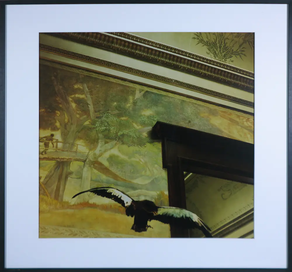 Paul den Hollander (1950)